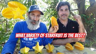 Exploring the Flavors of Carambola: Tasting Different Varieties of Star Fruit