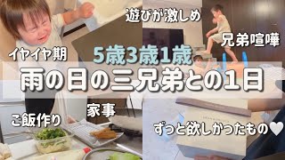 三兄弟との雨の日の過ごし方☔️ 5歳3歳1歳/休日ワンオペ/2歳差育児/家事/イヤイヤ期/購入品