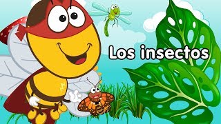 Los insectos - canciones infantiles doremila
