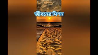 জীবনের মিশন