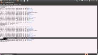 Shell Scripting Tutorial 10 Change File Permissions Using 'chmod'