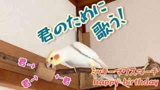 ミッキーマウスマーチを歌うオカメインコ。歌は誰かのために歌うもの？