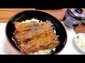 【うなぎ】鰻の聖地浜名湖！！激うま鰻丼！！【静岡遠征】