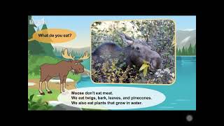 L2 054 Meet the Animals 54 Moose
