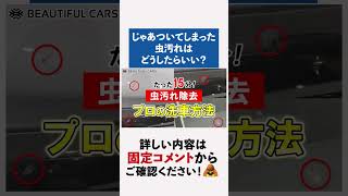 実は虫汚れを放置すると塗装面に大きなダメージが！？プロが教える危険性とは！#洗車 #洗車の仕方 #carwash #虫汚れ #鳥フン #研磨 #コーティング