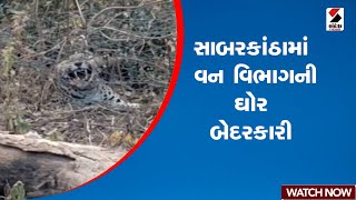 Sabarkantha | સાબરકાંઠામાં વન વિભાગની ઘોર બેદરકારી | Gujarat