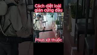 Cách tiêu diệt gián đức hiệu quả #shorts