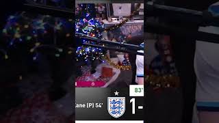 England fan watching Harry Kane's penalty miss vs France (dannyaarons)