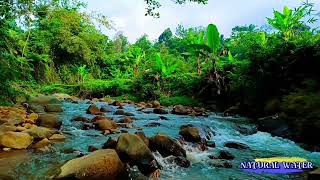 Peaceful relaxing Indonesia forest stream. Sleep, relax, meditate 120 min 4K HD