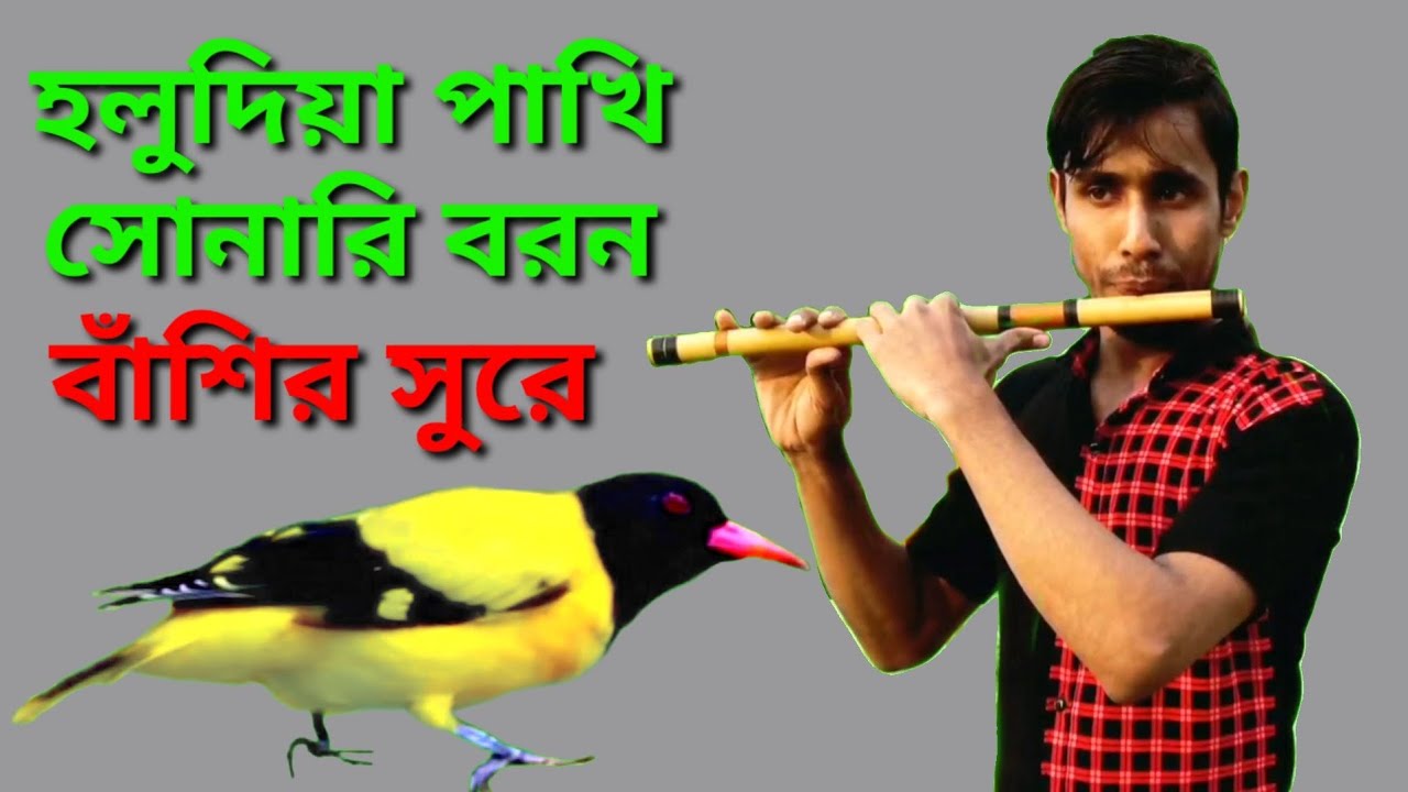 Holudia Pakhi Sonari Boron à à à à à à à à à ªà à à à à à à à à à à à Youtube Music