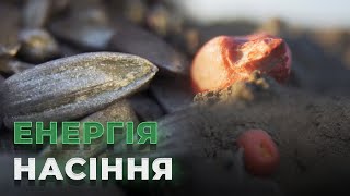 Випуск №4. Як обирати \