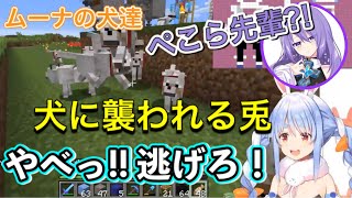 ムーナの愛犬に襲われる兎田ぺこらが面白すぎる‪w‪w/盗っ人ぺこら【ホロ鯖】