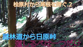 第222番-2【女装　コスプレ　登山】桧原村から尾根を跨ぐ.2・笹尾根の日原峠に着く,途中に水場はあるものの  【男の娘　倒木】