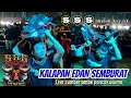 KALAPAN EDAN.!! SEMBURAT || bantengan TRIPLE S  || live sumberjambe poncokusumo