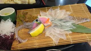 Translucent Squid at Kawataro restaurant Yobuko City Saga Kyushu Japan