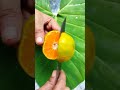 orange orangecutting orange carving fruitcutting youtubeshorts