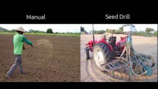 Seed Sowing