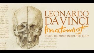 Leonardo da Vinci: Anatomist