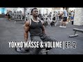 Épaules et Biceps Yokko Masse | en Wolof | Ep. 2