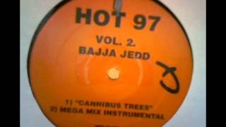 BAJJA JEDD - CANNIBUS TREES