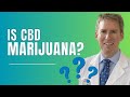 Is CBD Marijuana?