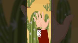 How to Remove Cactus Spines from Your Hand