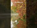 Enchanting Autumn: Beauty & Melodies for a Blissful Fall