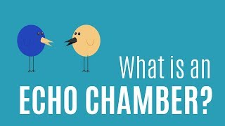 What Is An Echo Chamber