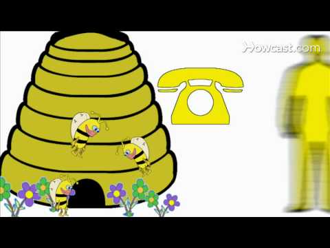 How to Get Rid Of Bees How to Get Rid Of Bees