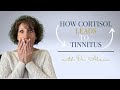 Tinnitus, Anxiety, and Stress: What You Need to Know