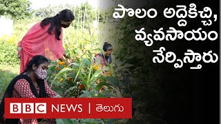 Eco Farming : కూరగాయలు పండించుకోడానికి పొలాన్ని అద్దెకిస్తారు. వాళ్లే పండించి ఇంటికి పంపిస్తారు