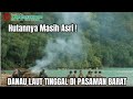 Menakjubkan, Danau Laut Tinggal yang Indah Berada di Dalam Hutan Belantara Pasaman Barat