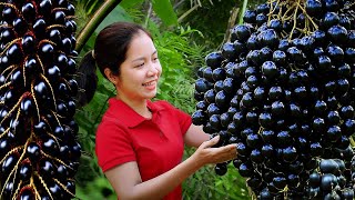 Lucky Woman Harvesting Palm Trees Full of Ripe Fruit & Selling at Market 🌴🥥 Living with Nature