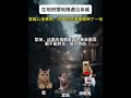 第1集 在地府摆地摊遇见亲戚... catmemes cat 玄幻 小说 故事 短剧 story catmeme 推文 一口气看完 悬疑 爽文 已完结 情感