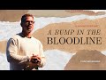 A Bump in the Bloodline | Chad Bruegman