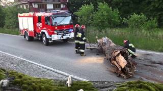 06.06.2015 - Stara Wieś. Powalone drzewo