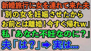 【スカッとする話】新婚旅行に女を連れて来た夫「別の女を妊娠させたからお前とは離婚！今すぐ帰れｗ」私「あなた不妊なのに？」夫「は？」→実は...【修羅場】