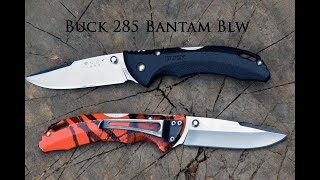 Buck 285 Bantam BLW lockback