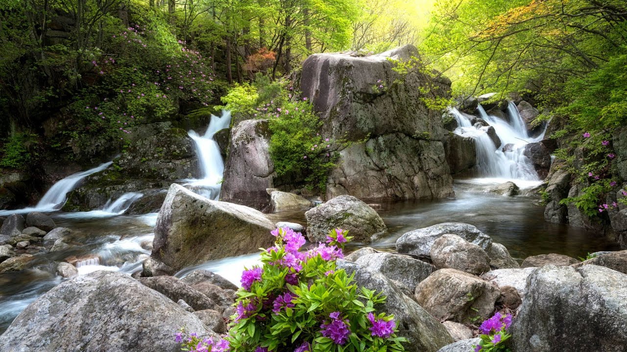 Spring Relaxing Music For Stress Relief And Pozitive Mind Youtube Music