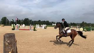 Quintessence - Round 2 - 7 year old young jumper championships