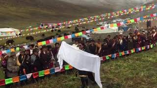 རྫ་ཆུ་ཁ་ཝ་ཤུལ་གཉེན་སྟོན། ZachuKha Washul wedding in Tibet. རྫ་སེར་རིག་བཟང་པར་བརྙན། ZaSer Rigsang 🌏