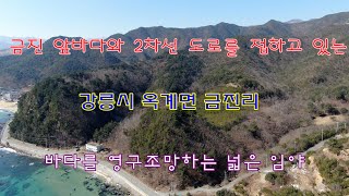 [거래 완료] 금진앞바다와 2차선 도로를 접하고 있는 강릉시 옥계면 금진리의 바다를 영구조망하는 넓은 임야