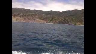 Circling around Catalina Island (Clip 2)