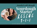 Is my Sourdough Starter Dead? Neglected for one year... See what happens and how I revive a starter