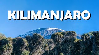 Climbing Mount Kilimanjaro | Lemosho Route 2021