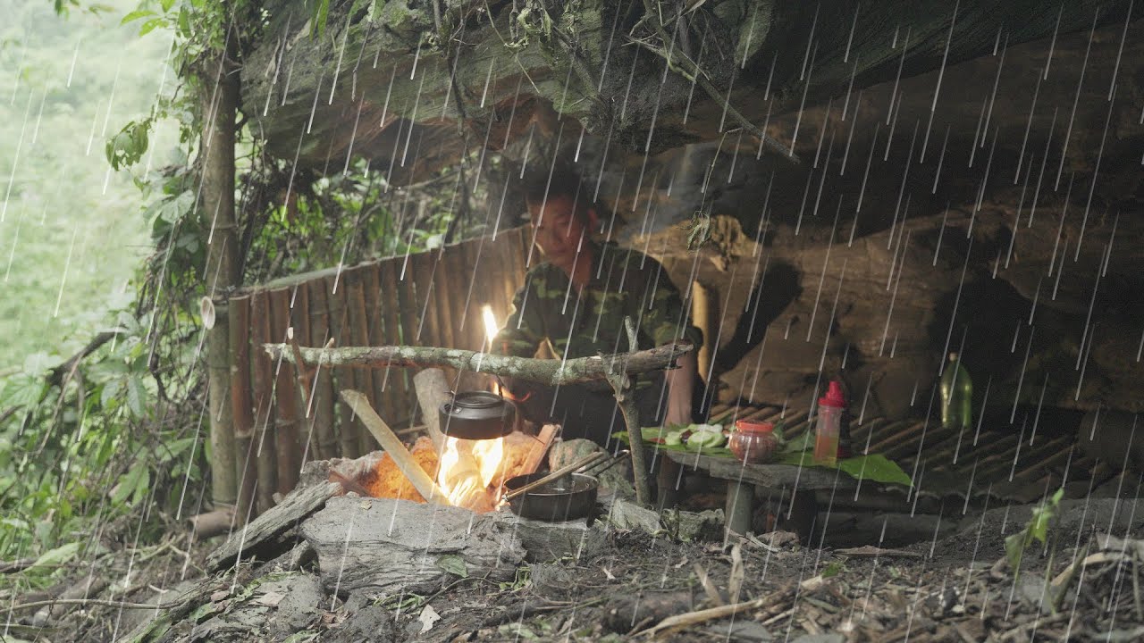 2 Day Solo Bushcraft Camping Survival In The Rain Forest Building