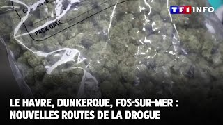 Le Havre, Dunkerque, Fos-sur-Mer : nouvelles routes de la drogue｜TF1 INFO