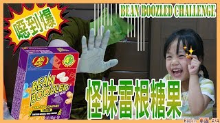 【食玩】 怪味雷根糖 大挑戰! (哈利波特豆)/ Bean boozled challenge!/百味ビーンズを食べました《Robin軍團》#74