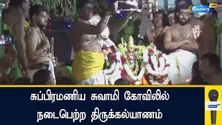 சுப்பிரமணிய சுவாமி கோவிலில் நடைபெற்ற திருக்கல்யாணம்