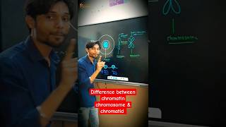 What is the difference between chromatin, chromosome \u0026 chromatid  🔥😎 #biology #cbse #k2institute